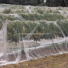 Anti Bird Safety Black Knotted HDPE Plastic Net
